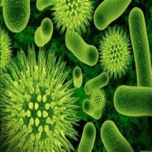 中科院苏州医工所研发出新冠病毒快速核酸检测