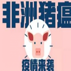 山西省疫控中心开展非洲猪瘟专项检测